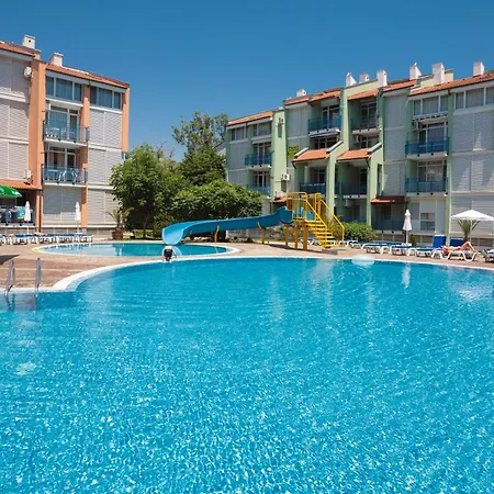 Daire Sea Shell 2 *